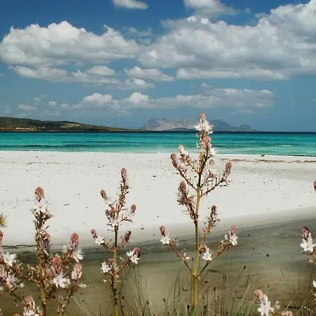 Indipendente Al Mare Budoni * טנאונלה
